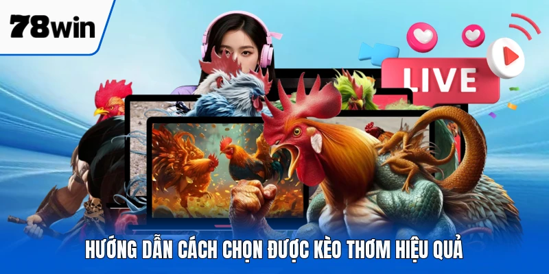 Hướng dẫn cách chọn được kèo thơm hiệu quả