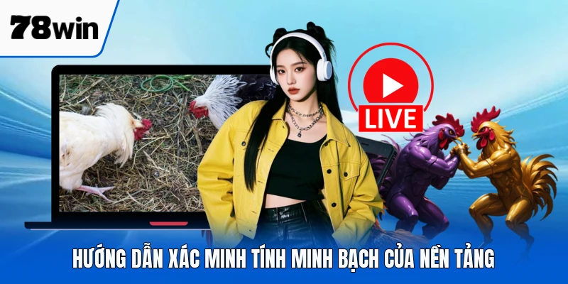 Hướng dẫn xác minh tính minh bạch của nền tảng